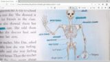 Our Bones LBS School Riyaz Sir Kurundkar Class : 5th Sub : English Ch  8 video 2