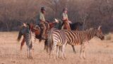 Outride with Kat on a horseback safari in South Africa