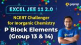 P Block Elements | Class 11 Chemistry | NCERT Challenger | JEE Main 2022 | Mritunjay Sir | Goprep