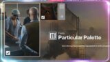 Particular Palette and Vertical Approach Hitman 3