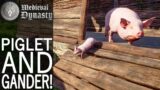 Piglet and Gander! | Medieval Dynasty Gameplay | EP 40