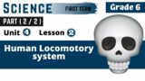Science | G6 | Human Locomotory system | Part (2-2) | Unit Four | Lesson Two