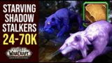Shadowlands Starving Shadowstalkers Skinning Guide | Desolate Leather and Callous Hide Farming