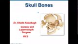 Skull Bones part1