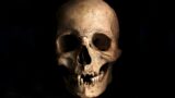 Skull and Bones Mini Series – Part Two