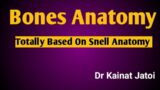 Snell Bones Anatomy (Part 1)