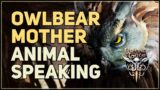 Speaking with Owlbear Mother Baldur's Gate 3 Animal Speaking
