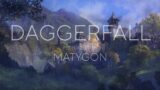 The Elder Scrolls II: Daggerfall Theme performed on Trumpet by Matygon