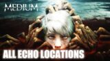 The Medium All Echo Locations – Calling out to Me Achievement