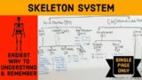 The Skeleton System -Easiest way to learn All human bones  – Hindi