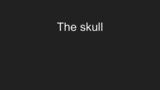 The skull bones in five minutes