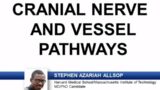 USMLE-Rx Express Video of the Week: Cranial Nerve and Vessel Pathways