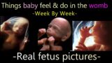 Week by week things babies do & develop in womb with Real fetus photography