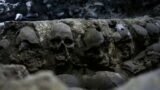 What Scientists Found Digging Up Skulls in Mexico