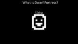 What is Dwarf Fortress?