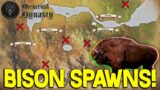 Wisent Bison Spawn Location Guide (10+) – Medieval Dynasty