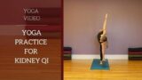 Yoga Practice to Support Kidney Qi
