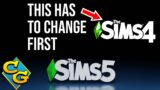 A SERIOUS issue of Sims 4 Needs to be Fixed Before Sims 5