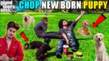 CHOP HAS NEW 2 BORN PUPPIES | GTA V GAMEPLAY