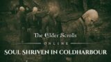 ESO The Five Companions – Soul Shriven in Coldharbour