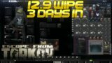 Escape From Tarkov – 3 Days In Wipe 12.9 – Level 21 W/ 17M Stash Value
