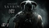 Exploring Tamriel in VR | The Elder Scrolls V Skyrim VR