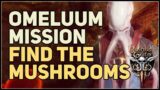 Find the mushrooms Omeluum requested Baldur's Gate 3