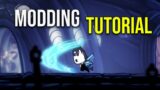 How To MOD Hollow Knight! (Modding Tutorial)