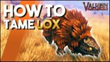 How To Tame Lox In Valheim! A Taming Guide For Lox