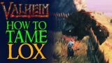 How to Tame LOX in Valheim