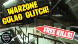 *INSANE* Warzone Gulag Glitch (Free Kills!) | Call of Duty Warzone