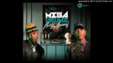 Megadrumz _ Welcome to the Party Animals x Dlala_Msiyana ft DBN Nyts