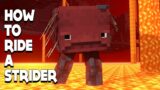 Minecraft #shorts :: How to RIDE a STRIDER in 1.16.3