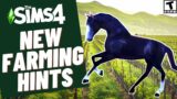 NEW FARMING HINTS- SIMS 4 SPECULATION & NEWS 2021