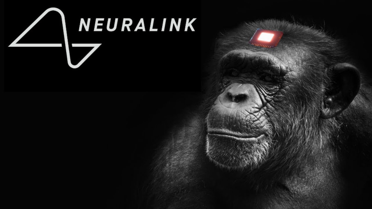 Neuralink update 2021| Monkey play video games using his mind | Elon