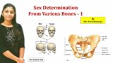 Sex Determination From Bones – 1 | Skull and Pelvis | Forensic Anthropology