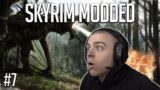 Skyrim Modded Playthrough 2021 – Butcher Pete…? (Part 7)