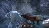 The Elder Scrolls Online: Tamriel Unlimited world boss solo fight temp orc tank