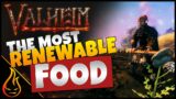 The Most Renewable Fully Farmable Foods Valheim Guide
