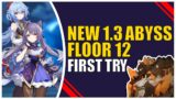 The New Spiral Abyss FLOOR 12 IS GREAT | Genshin Impact
