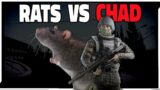 The Rat and CHAD Life in Escape from Tarkov