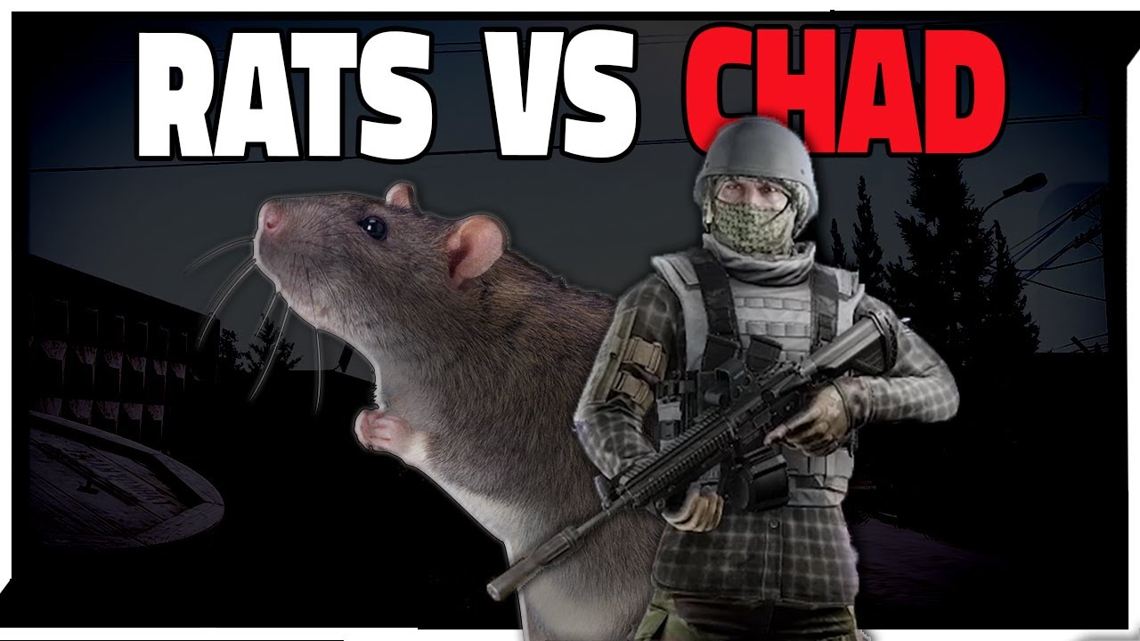 The Rat and CHAD Life in Escape from Tarkov Game videos