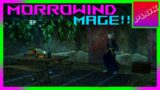 Unsanctioned Magic Training?!! Morrowind Mage Build [Pt. 6]