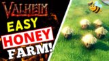 Valheim Honey Farm Tutorial – How To Farm Honey!