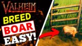 Valheim – How To Breed Boar! EASY METHOD!