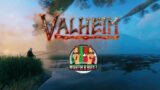 Valheim – Lag, Portals, Single Player and what I would like to see.