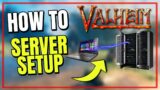 Valheim Server | How to setup Dedicated Hosted Server @Vedui42