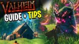 Valheim TIPS and TRICKS | Beginners GUIDE + Gameplay