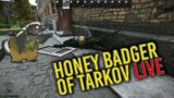 Where are all the sniper scavs!? – Escape From Tarkov