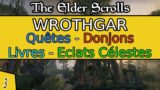 Wrothgar – Partie 3 – Gameplay, Exploration et Levelling – The Elder Scrolls Online | Xbox X